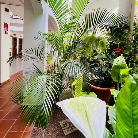 Aloha - Costa Del Silencio Apartamento