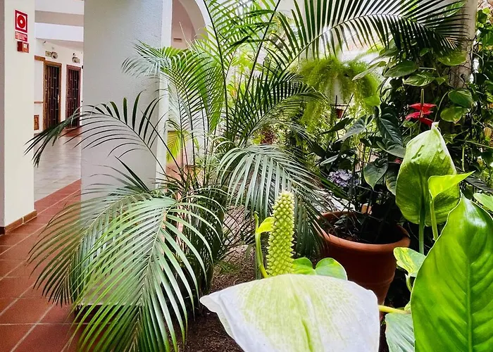 Aloha - Costa Del Silencio Apartment